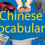 500+ Chinese Vocabulary 📚Your Complete List Thumbnail